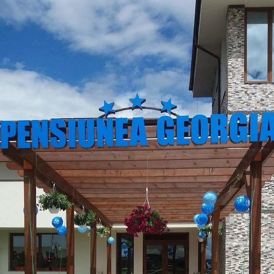 Pensiunea Georgia Lunguleţul Exterior foto